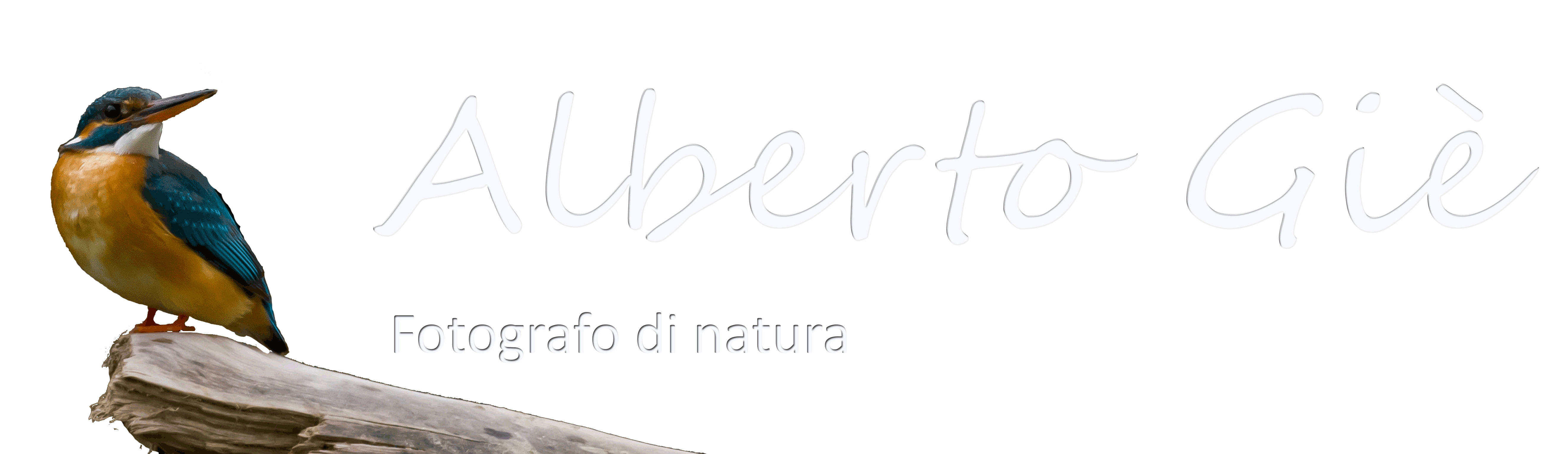 Alberto Gi, Fotografo di natura